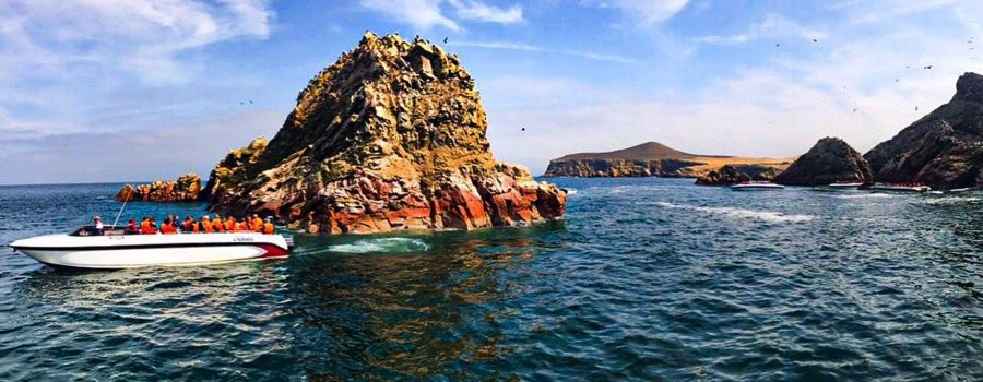 islas ballestas nazca ica paracas 2