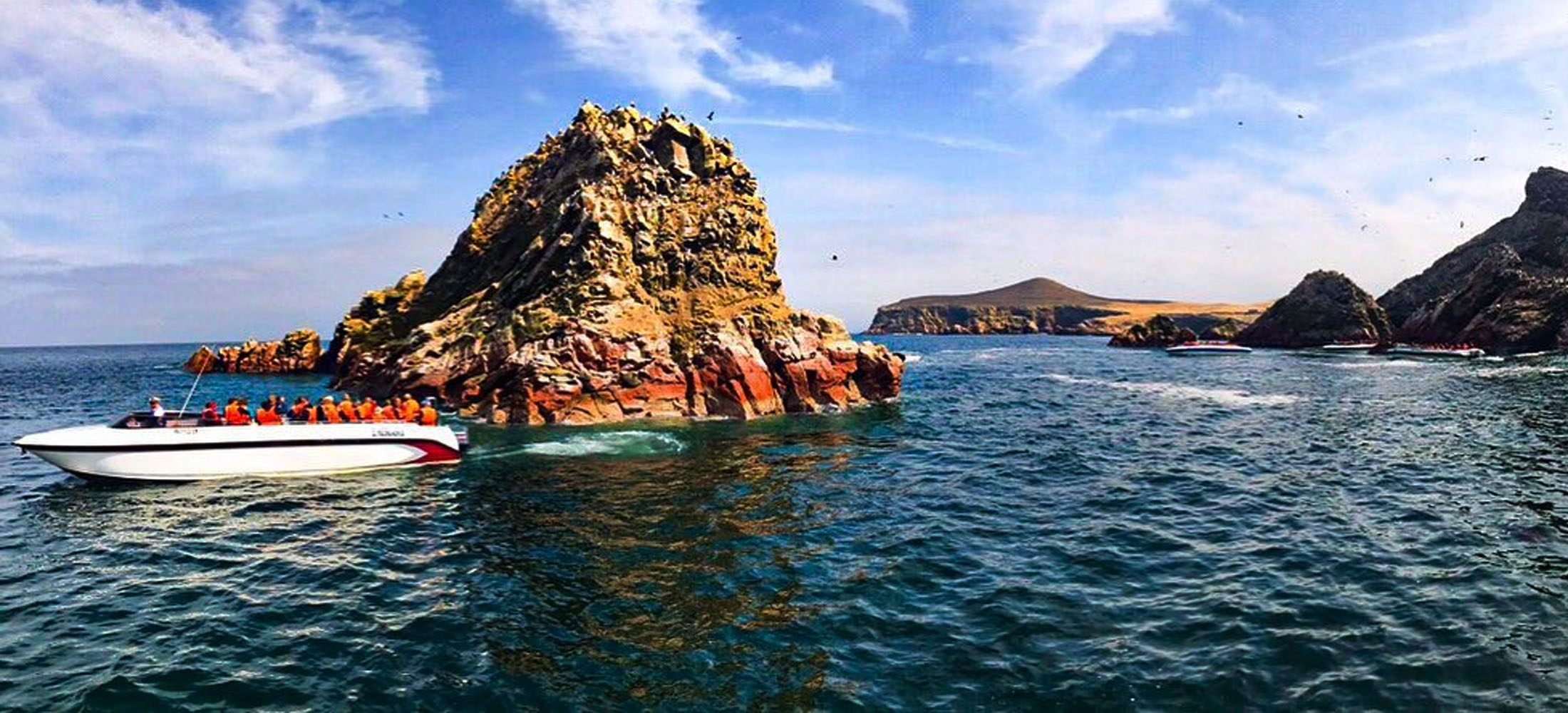 islas ballestas nazca ica paracas 2