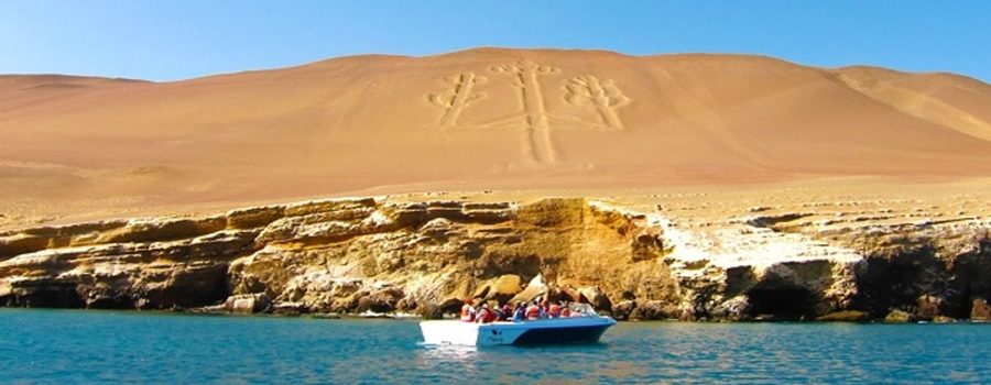 islas ballestas nazca ica paracas 3