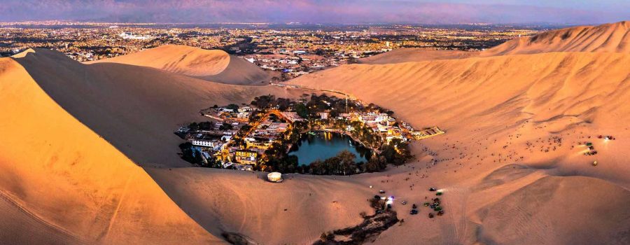 islas ballestas nazca ica paracas 4