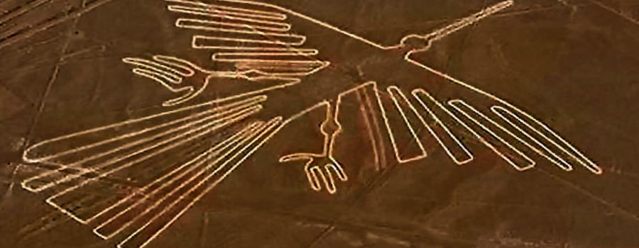 islas ballestas nazca ica paracas 6