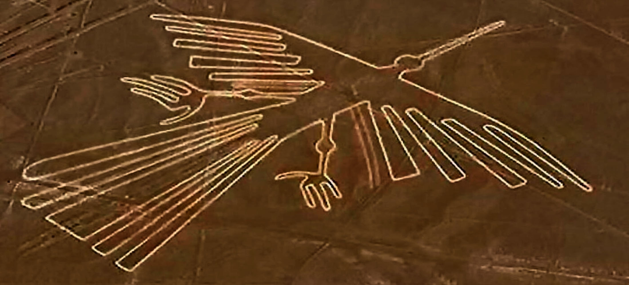 islas ballestas nazca ica paracas 6