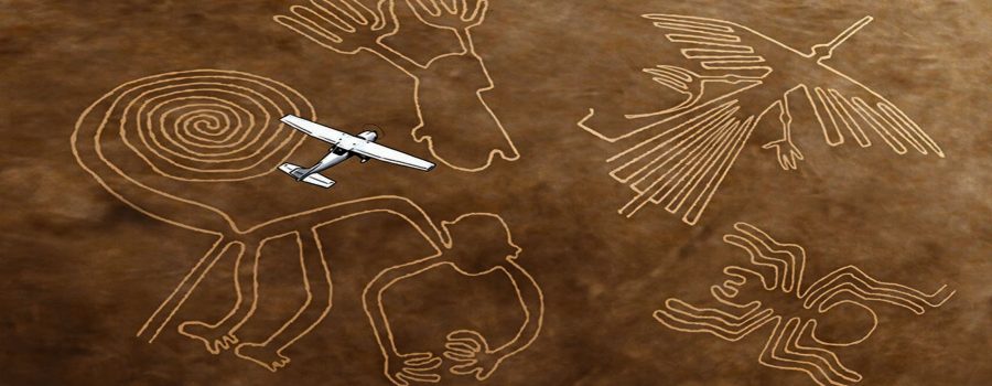 islas ballestas nazca ica paracas 7