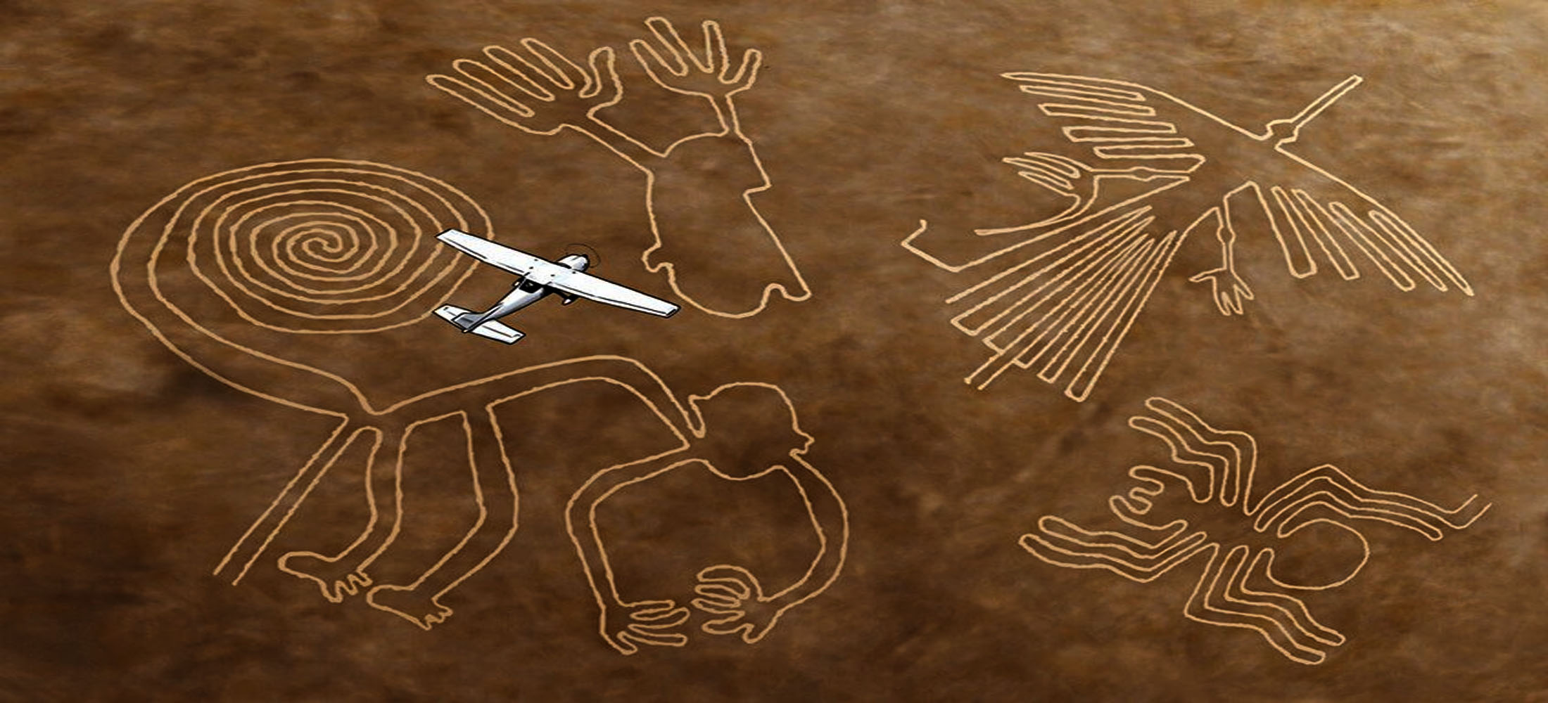 islas ballestas nazca ica paracas 7