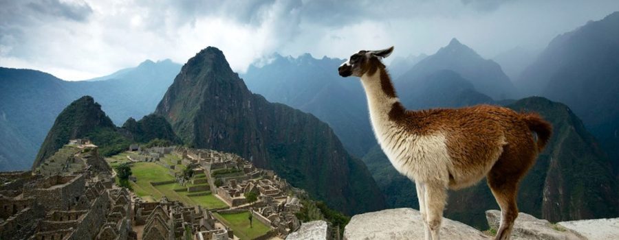 machu picchu cusco 5