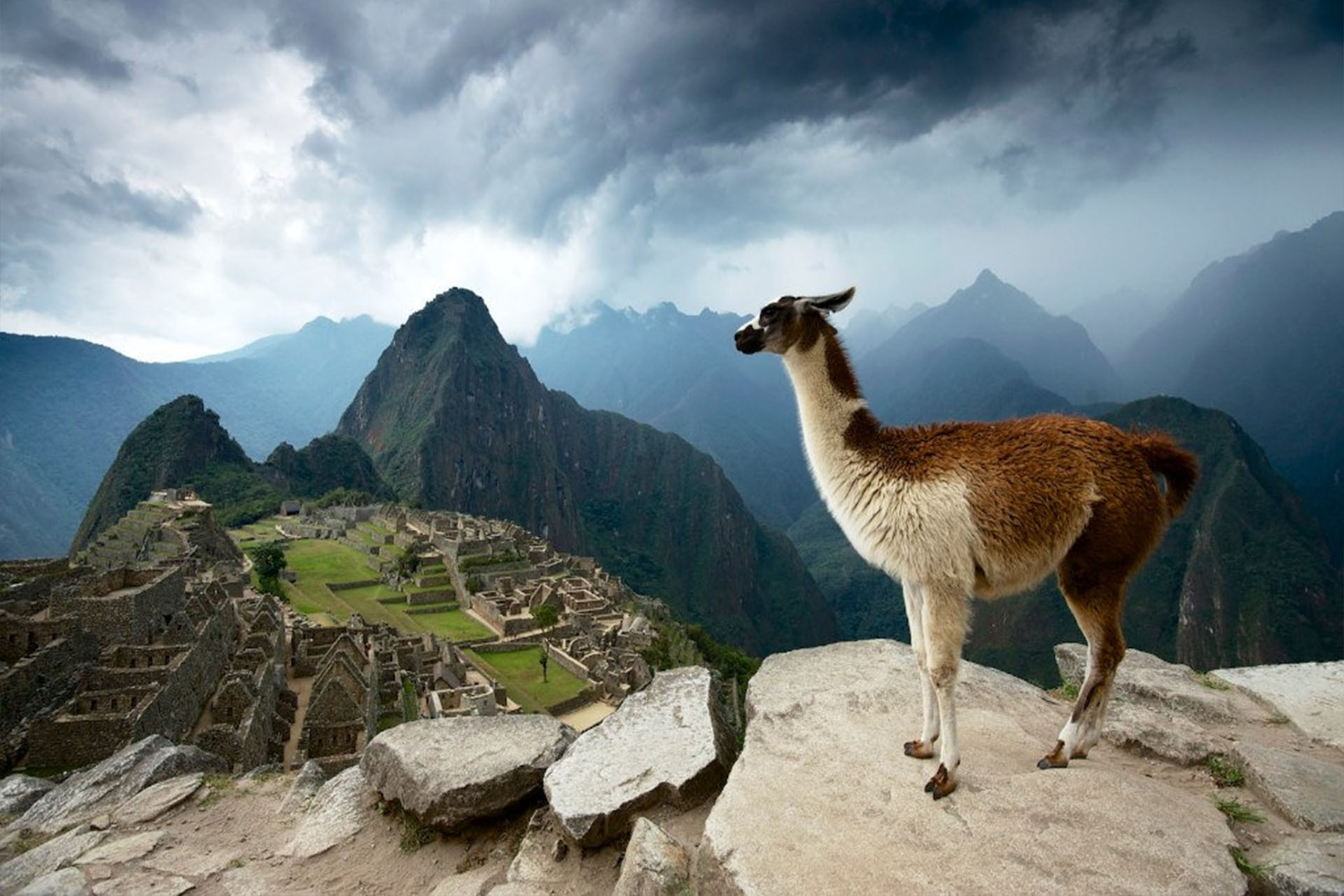 machu picchu cusco 5