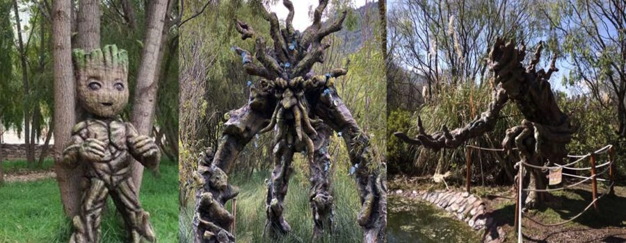 mistico ecologico cusco 6