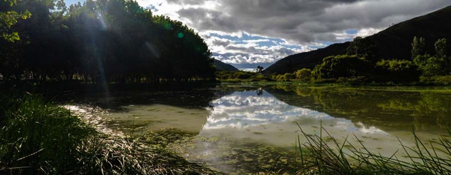 mistico ecologico cusco 7