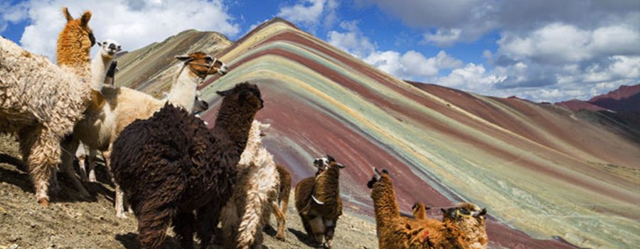 montaña colores vinicunca machupicchu 4