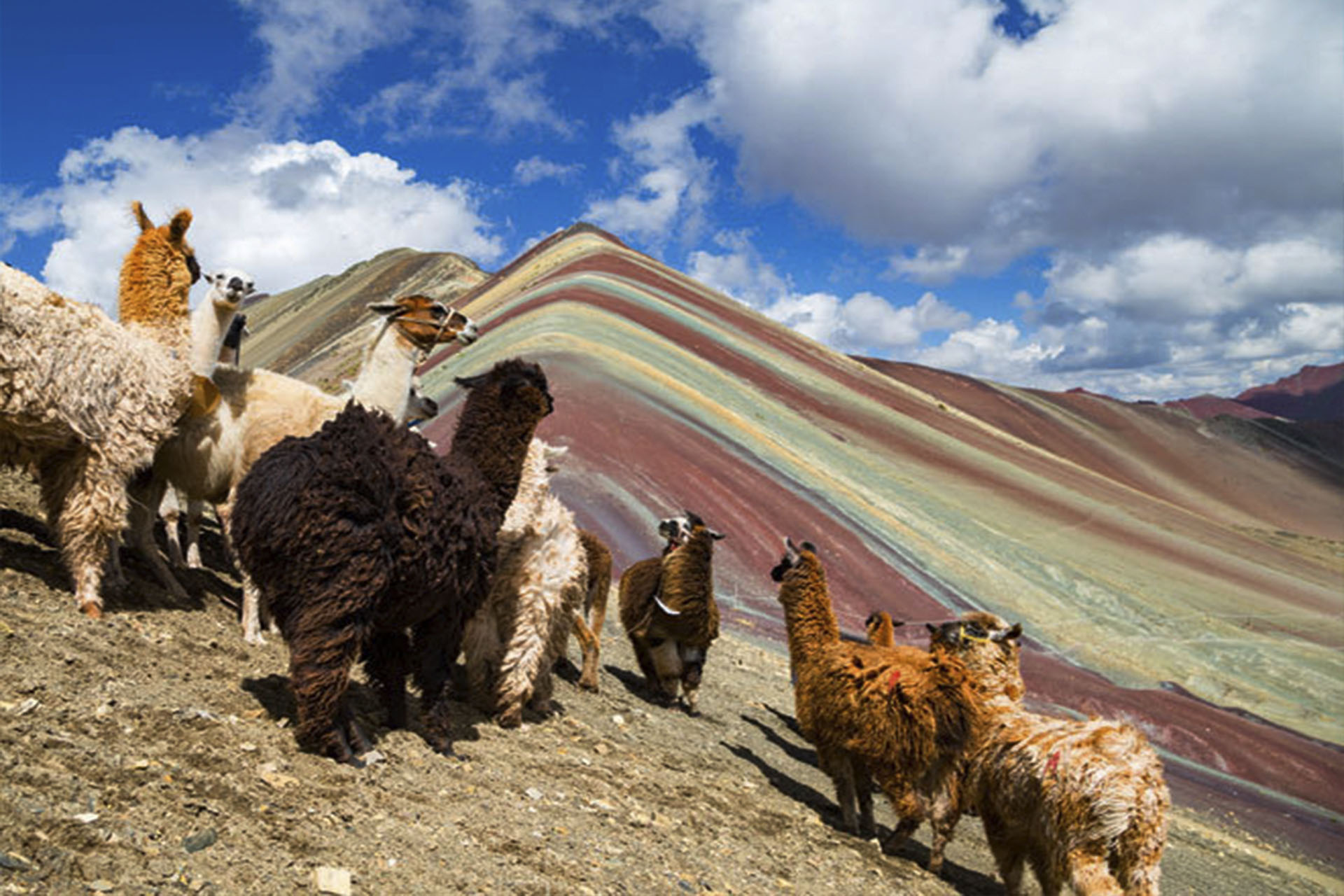 montaña colores vinicunca machupicchu 4