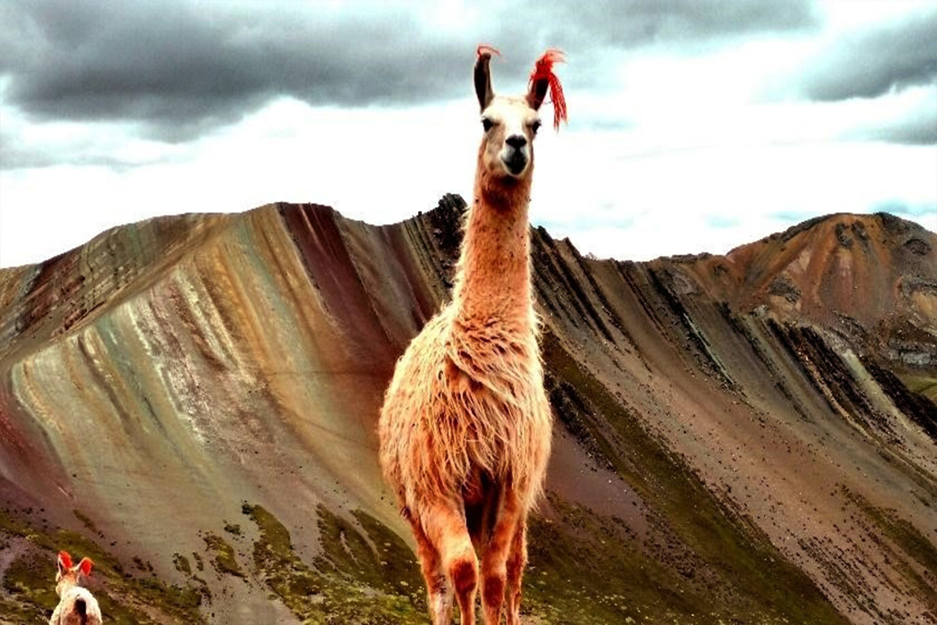 montaña palcoyo cusco 5